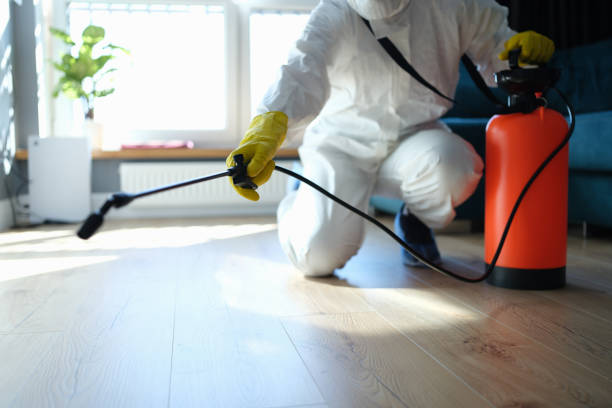 Reliable Odor Removal contractor in Folly Beach, SC by Trauma Clean Pros